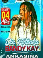 Din rotsaka Baly manjofo Ankasina