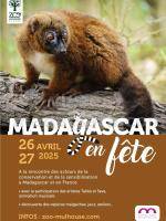 Madagascar en fête 