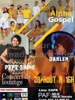 Pepe Shine & Darlen CAPR