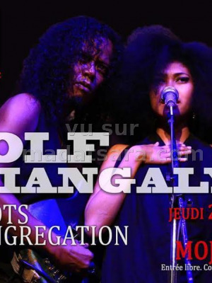 Rolf‍ & Imiangaly‍ & Voots Kongregation‍ en concert au Mojo Bar Isoraka‍