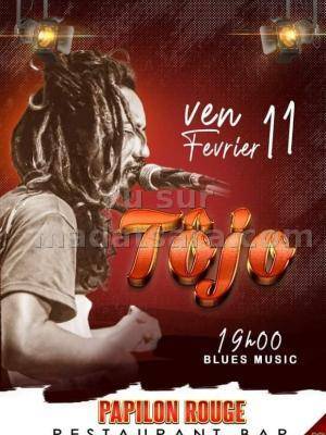 Tojo Papillon Rouge Ambondrona