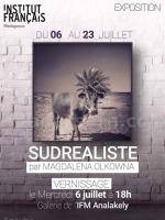 Expositions / Salons - Sudrealiste - IFM - Institut Français de Madagascar