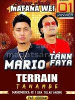 Tann Faya , Mario - Showcase - Terrain Tanambe