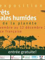 Exposition Les forêts tropicales humides avenir de la planète à l'Alliance Française d'Antsiranana