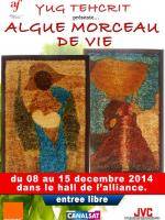 Algue Morceau de vie présentée par Yug Tehcrit à l'Alliance Française de Mahajanga