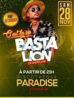 Basta Lion Ankirihiry Paradise