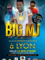 Big Mj en concert à Lyon - Salle Le Brin d'Herbe