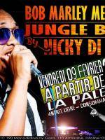 Bob marley memoriam La Palette Antsirabe