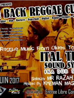 Bring back reggae culture - Jamaica By Pass‍