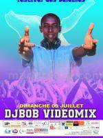 Djbob videomix Festival des Baleines