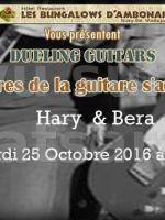 Dueling guitars - Les Bungalows d'Ambonara‍