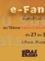 e-Fanorona au 18è salon culture et jeux mathématiques - Place Saint Sulpice Paris‍