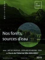 Exposition nos forêts source d'eau Hotel de Ville Analakely Antananarivo