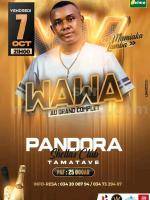 Wawa Showcase Pandora Shella's