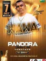 Wawa Showcase Pandora Shella's