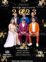 Nuit de la Saint Sylvestre 2023