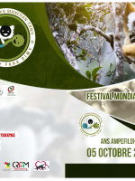 Festival mondial des lémuriens 5è édition - ANS Ampefiloha‍