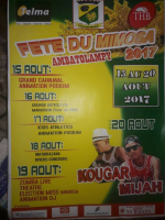 Fête du mimosa 201 - Ambatolampy