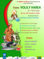 Foire Volily Harea - 2è édition Andalambalo Ambovombe Androy