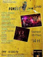 Forest jam live au Art'Sakafo Mandrosoa Ivato