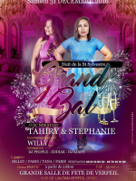Grand bal avec Tahiry‍ & Stéphanie accompagnées par Willy‍ - Salle de fête Verfeil