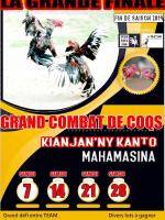 Grands combats de coq - finale - Kianjan'ny Kanto Mahamasina
