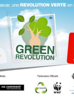 Green revolution - Infinithé Ivandry‍