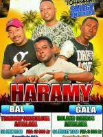 Haramy en concert