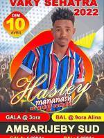 Hasley Ambarijeby sud