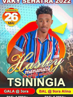 Hasley‍ - Tsiningia