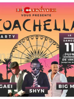 Coachella Party - Shyn , Gaei , Big MJ - Showcase - Le Carnivore