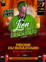 Lion Hill - Showcase - Piscine de boulevard 67HA