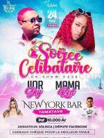 Soirée célibataire