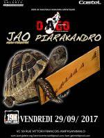 Jao piarakandroIs'Art Galerie