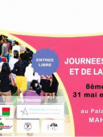 Journée de l'emploi et de la formation 8ème édition au palais des sports Mahamasina