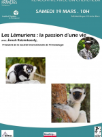 Les lémuriens: la passion d'une vie - IFM - Institut Français de Madagascar‍