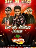 Lion Hill & Andress Le Barachois Saint Denis