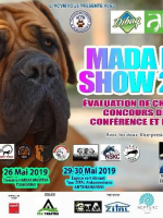 Madadog show 2019 - Espace Vert Tour Zital Ankorondrano‍ Domaine Harras Masteva Toamasina - Le Rêve Antsirabe‍