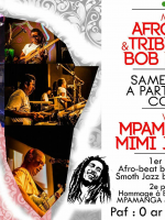 Mpamanga‍ & Mimi Jaofera‍ - afro beat music & tribute to Bob Marley - Code 110‍