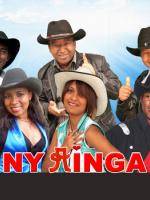 Ny Ainga sy ny mpandihiny - Lycée Stella Maris Tamatave‍