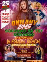 Onilahy BMS fourmi beach