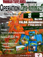 Opération zana-boninkazo hoan'ny fetin'ny reny - Falda Antanimena