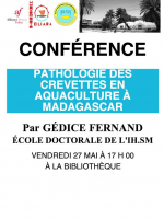 Pathologie des crevettes en aquaculture à Madagascar - Conférence par Gédice Fernand  à l'Alliance Française de Tuléar