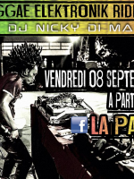 Reggae elektronik riddim by Nicky Di Manu‍ La Palette Antsirabe‍