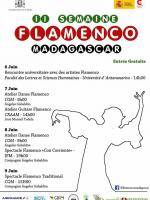 Semaine II flamenco Madagascar CGM Analakely - Espace Art Public (CRAAM) Ankatso - IFM - Institut Français de Madagascar