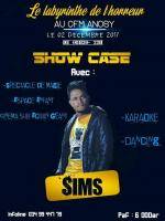 Sims en show case CFM - Cercle Franco-Malgache