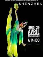 Spectacle culturel chinois animé par la troupe de Shenzhen CCI -  Centre de Conférence Internationale Ivato