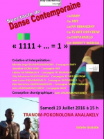 Spectacle de danse contemporaine - Tranompokonolona Analakely