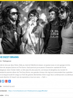 The Dizzy Brains participent au festival Le Chien à Plumes