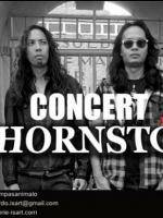 The Hornstone Is'Art Galerie